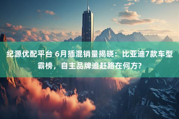 纪源优配平台 6月插混销量揭晓：比亚迪7款车型霸榜，自主品牌追赶路在何方?